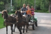 Zichy Park Hotel Bikács családi nyaralás állatbarát szálláshelyeken - családi üdülés.hu